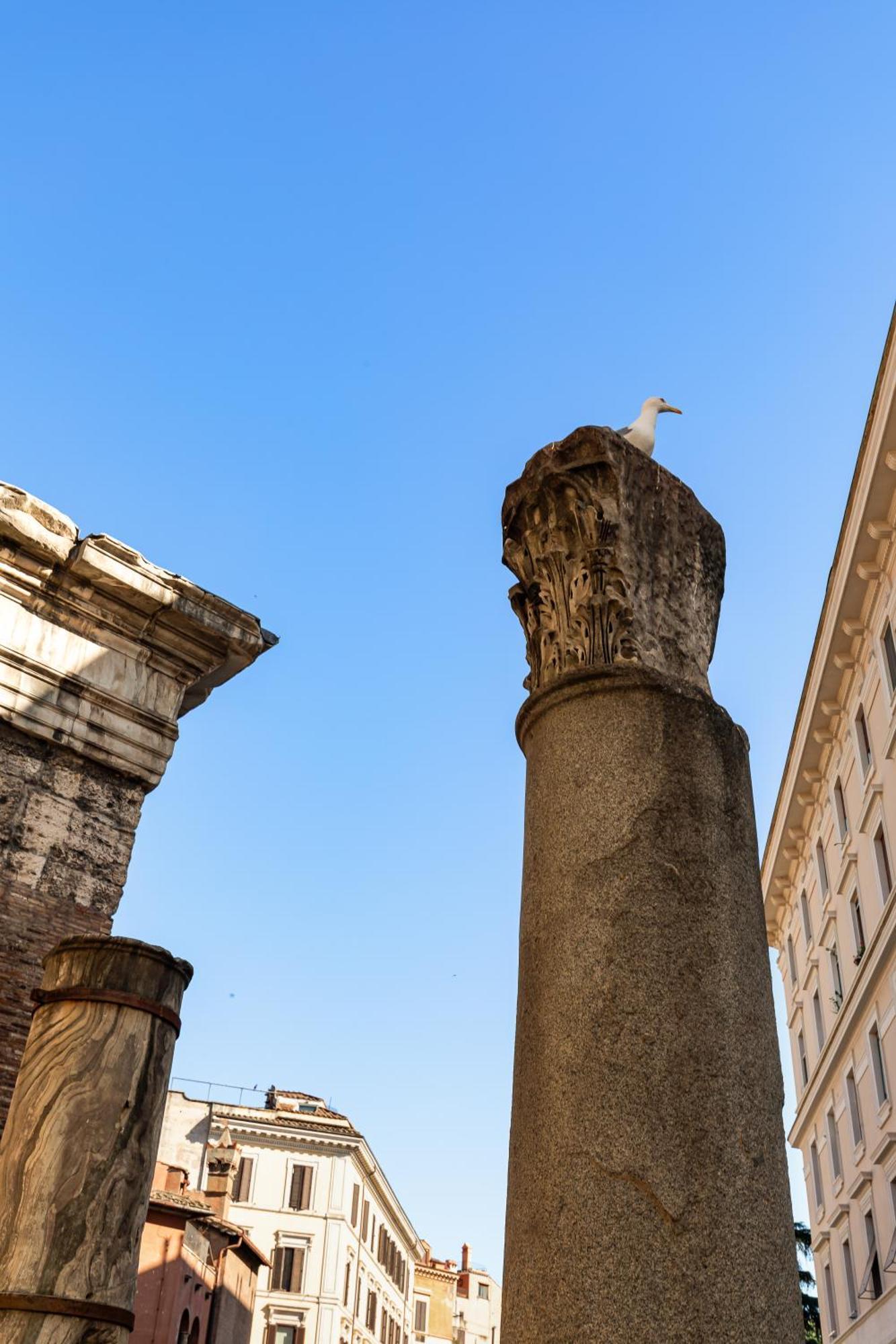 Campitelli 9 - Loft In Ancient Rome Roma Exterior foto